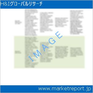 市場と産業調査レポートのイメージ